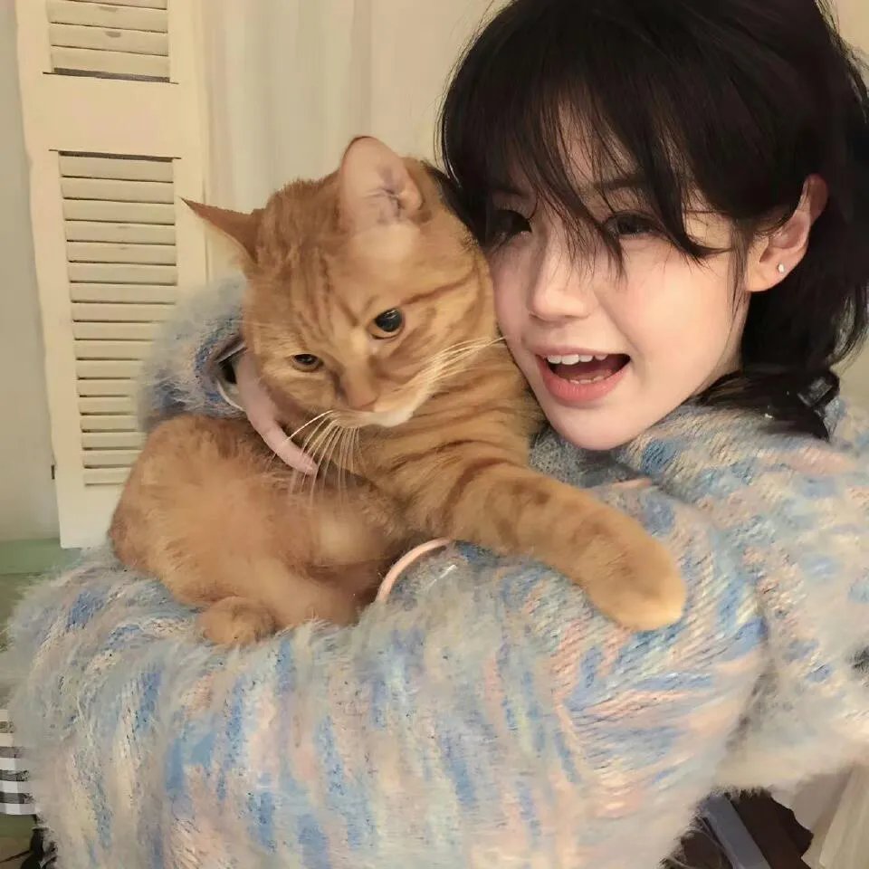 厉总的落跑娇妻不好追